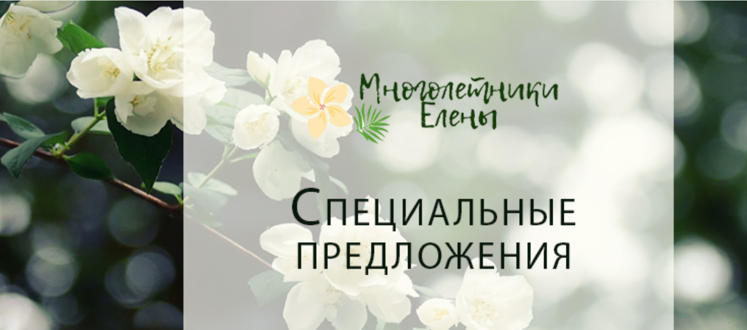 «Многолетники Елены»